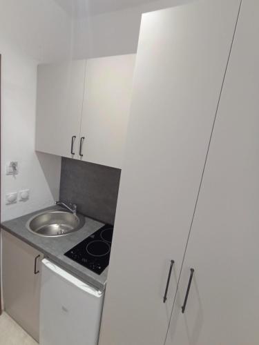 a small kitchen with a sink and a stove at MD APARTMENTS in Ulcinj