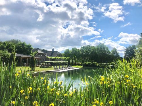 a pond in front of a house with yellow flowers at Het Hilkensberg Park in Broekhuizen