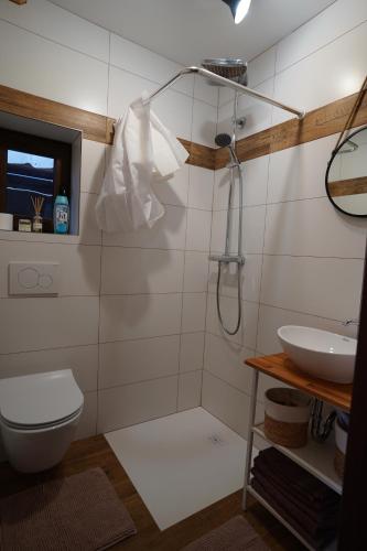 a bathroom with a shower and a toilet and a sink at Drevenica Harmony so saunou in Ružomberok