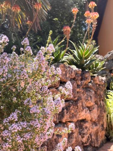 a stone wall with purple flowers and plants at Giardino di Circe in Agrigento