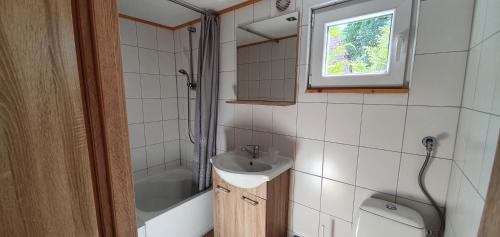 a small bathroom with a sink and a shower at Domki przy Leśnej in Wisełka