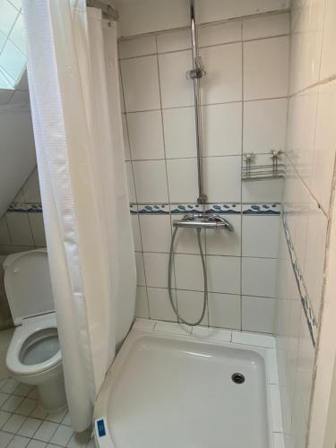 a small bathroom with a toilet and a shower at Kaptainshuus Apartment A in Leer