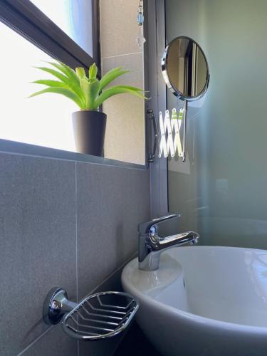 a bathroom with a sink and a mirror and a plant at Castello Guest House, Bloemfontein in Bloemfontein