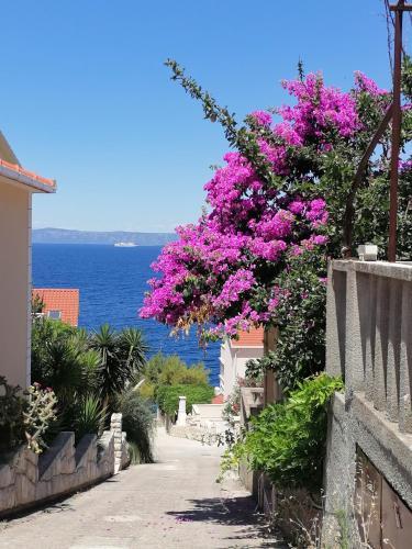 a pathway with pink flowers and the ocean in the background at Apartment D&D in Prigradica