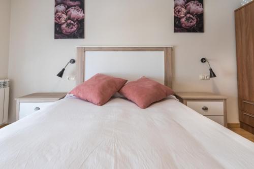 a bedroom with a bed with two pillows on it at Apartamento Santiago Lopez -Wifi-plaza de Garaje in Pravia