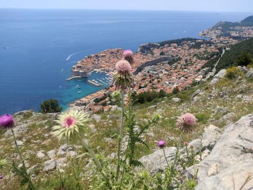 a view of the amalfi coast from a hill with flowers at Apartment D&D in Prigradica