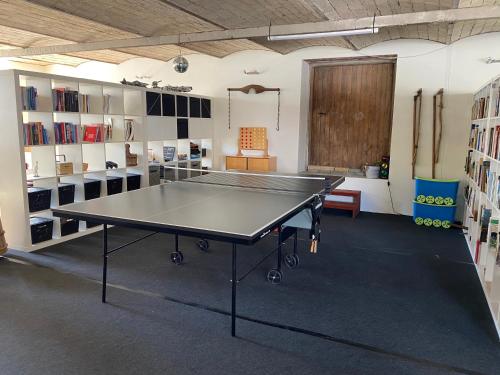 a ping pong table in the middle of a room at Bregnedalsgaard Bondegårdsferie in Hobro