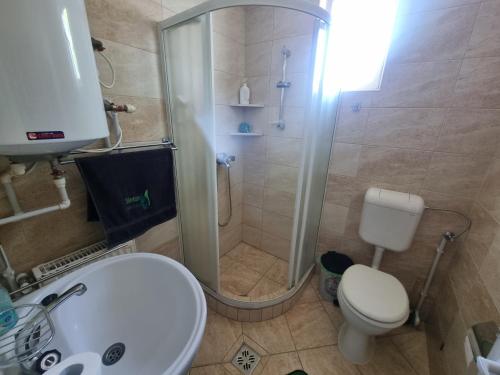 La salle de bains est pourvue d'une douche, de toilettes et d'un lavabo. dans l'établissement Silentium Clavem Domus II., à Satu Mare