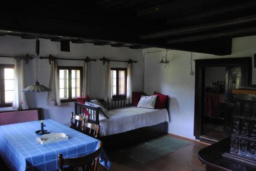 1 dormitorio con 1 cama, mesa y sillas en Hiša 1820, en Žiri
