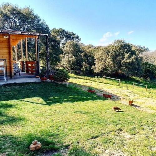 a yard with a house and a grass field at Eco Lodge nella natura Con Piscina privata "La Grande Quercia" in Calangianus