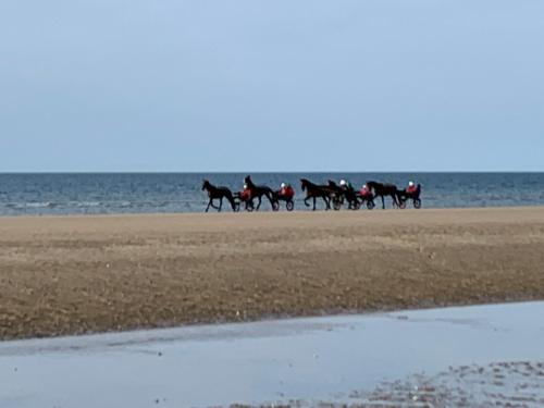 - un groupe de personnes à cheval sur la plage dans l'établissement Bener'Inn Au calme Une maison 3 chambres 125 m2 ou Une maison 2 chambres 50 m2 ou les 2 maisons, à Benerville-sur-Mer