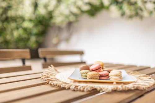 Hidden Oasis Luxury suite