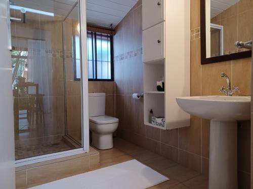a bathroom with a toilet and a sink and a shower at Eggersheim in Pinetown