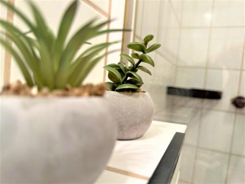 two plants in white vases sitting on a table at COZY Apartment Bavarian Forest +POOL +SAUNA +NETFLIX in Zwiesel