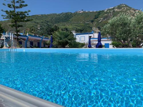 a swimming pool with blue water in front of a house at Hotel Casa Adolfo Ischia in Ischia