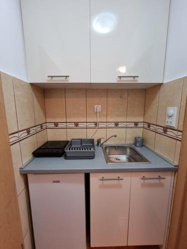 a small kitchen with a sink and a counter at Dom M Apartments in Budva