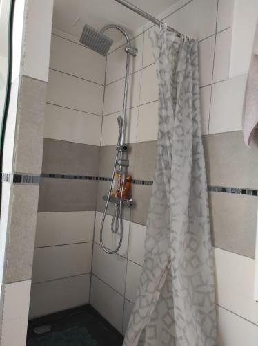 een douche met een douchegordijn in de badkamer bij Chambre entrée indépendante in Lodève