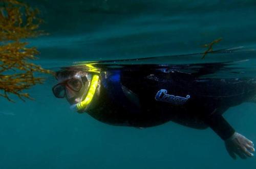 a person in a wetsuit and goggles swimming in the water at Casa da Rosa in Arcozelo