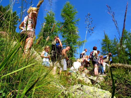a group of people walking up a hill in the grass at Schwimmbad Camping Mössler in Döbriach