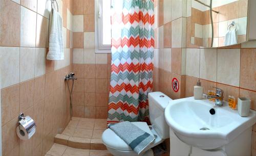 a bathroom with a sink and a toilet and a shower at Alex Downtown Studio in Argostoli