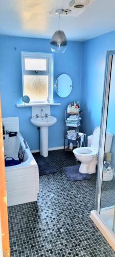 a blue bathroom with a toilet and a sink at The Cosy Cottage in Craigavon