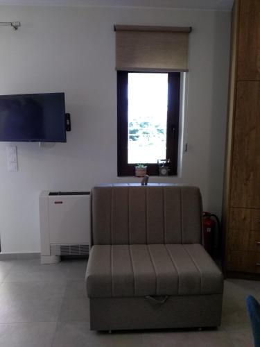 Μια τηλεόραση ή/και κέντρο ψυχαγωγίας στο Alkioni's Nest Apartments