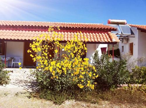 a house with yellow flowers in front of it at LYGIROS ANASTASIOS in Tarti