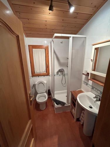 een badkamer met toilet, douche en wastafel bij Mi casita de madera in Segovia