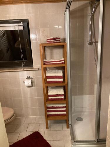 a bathroom with a shower and a rack of towels at Ferienhaus Eichler in Bad Gottleuba