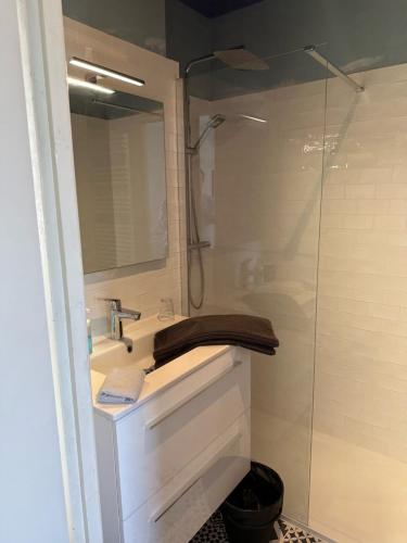 een badkamer met een wastafel en een douche bij Appartement Design VI Port de Tréboul Douarnenez in Douarnenez