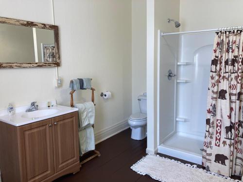 een badkamer met een wastafel, een toilet en een douche bij Historic Capitol Hotel Vacation Suites Downtown in Buffalo
