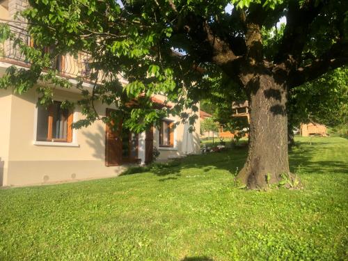 a tree in the grass in front of a house at Le petit gîte in Saint-Étienne-le-Laus