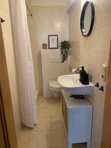La salle de bains est pourvue d'un lavabo, de toilettes et d'un miroir. dans l'établissement Stilvolle Altbauwohnung im Zentrum von Bad Schandau, à Bad Schandau