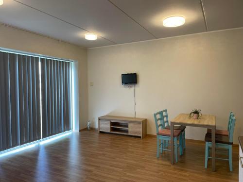 TV a/nebo společenská místnost v ubytování Papiniidu apartment