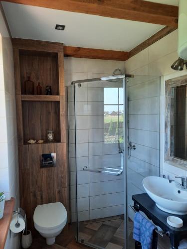 uma casa de banho com um chuveiro, um WC e um lavatório. em Wierzbowy zakątek Kąty Rybackie em Kąty Rybackie