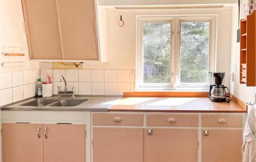 cocina con fregadero y ventana en Lovely Home In Ljuster With Wifi, en Norra Ljustero