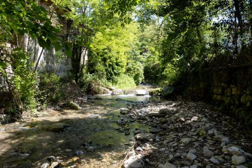 a creek in a forest with rocks and trees at La casa sotto le cascate Lago Maggiore - IXIHOME in Cittiglio