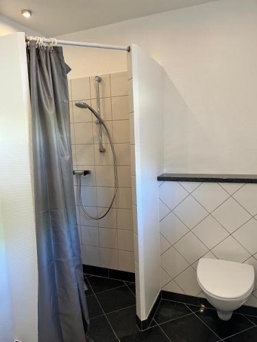 a bathroom with a shower and a toilet at Fred og Ro Ferielejlighed in Ulstrup
