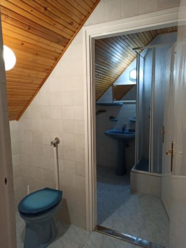 a bathroom with a blue toilet and a sink at Almavilla in Gyenesdiás