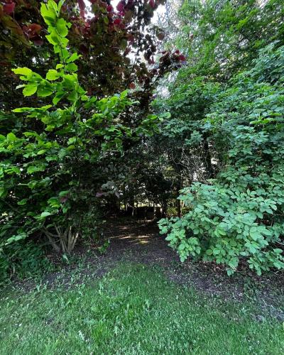 a group of bushes and trees in a yard at Fred og Ro Ferielejlighed in Ulstrup
