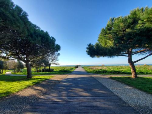 une route avec des arbres au milieu d'un champ dans l'établissement Bongraine Océan, à La Rochelle