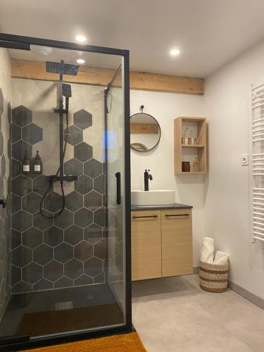 bagno con doccia e lavandino di Appartement de charme au pied du Grand Colombier a Culoz