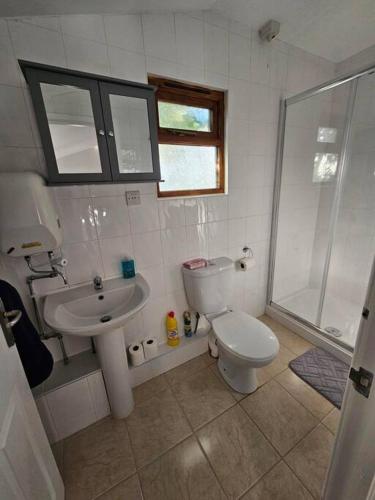 a bathroom with a toilet and a sink and a shower at Picturesque Cabin in Cornwall in Camborne