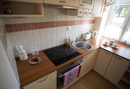 eine kleine Küche mit einer Spüle und einer Arbeitsplatte in der Unterkunft Apartament MGM Janów Podlaski in Janów Podlaski