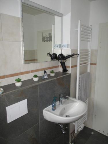 a bathroom with a sink and a mirror at Ferienwohnung in Hameln am Wald in Hameln