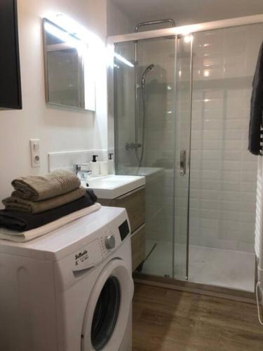 une machine à laver dans une salle de bain avec douche dans l'établissement Superbe Appartement, à La Côte-Saint-André
