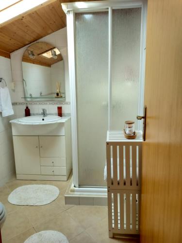 a bathroom with a shower and a sink at Casa Vida Alegre in Prazeres