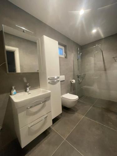 a bathroom with a sink and a toilet and a shower at Villa Dupini in Baška