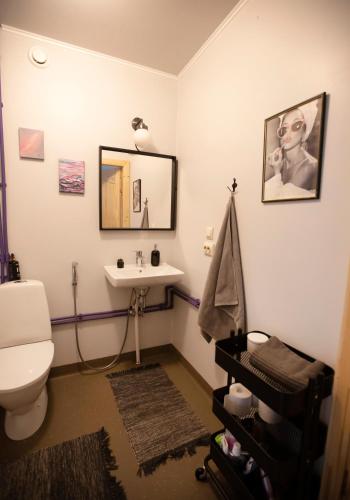 a bathroom with a white toilet and a sink at Kempings Ozolkalns in Cēsis