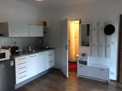 eine Küche mit weißen Schränken und eine Tür zu einem Zimmer in der Unterkunft Apartmán U jezírka in Velké Přílepy